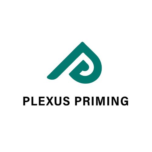 PLEXUS PRIMING IT TRADING & SECURITY INSTALLATION - FZCO